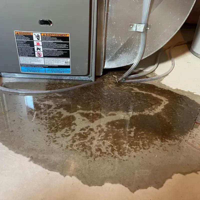 Appliance Leak Cleanup in Loveland, CO